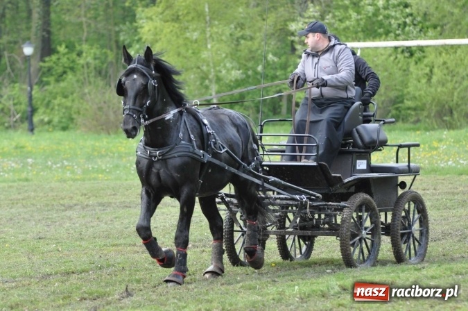 Zdjęcie w galerii na portalu naszraciborz.pl: W Kornicach trwają zawody zaprzęgowe połączone z majówką konną wiadomości z regionu