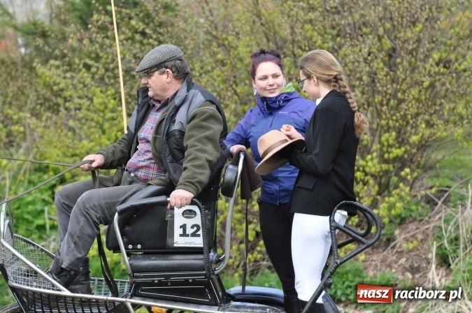 Zdjęcie w galerii na portalu naszraciborz.pl: W Kornicach trwają zawody zaprzęgowe połączone z majówką konną wiadomości z regionu