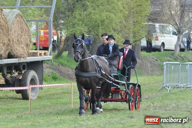 Zdjęcie w galerii na portalu naszraciborz.pl: W Kornicach trwają zawody zaprzęgowe połączone z majówką konną wiadomości z regionu