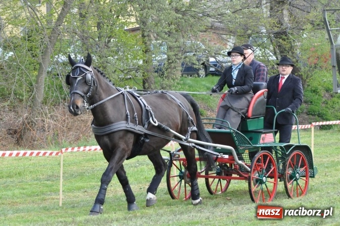 Zdjęcie w galerii na portalu naszraciborz.pl: W Kornicach trwają zawody zaprzęgowe połączone z majówką konną wiadomości z regionu