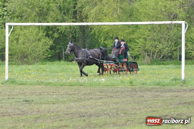 Zdjęcie w galerii na portalu naszraciborz.pl: W Kornicach trwają zawody zaprzęgowe połączone z majówką konną wiadomości z regionu