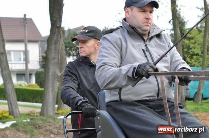 Zdjęcie w galerii na portalu naszraciborz.pl: W Kornicach trwają zawody zaprzęgowe połączone z majówką konną wiadomości z regionu
