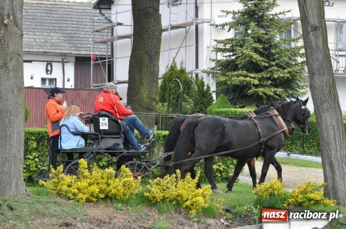 Zdjęcie w galerii na portalu naszraciborz.pl: W Kornicach trwają zawody zaprzęgowe połączone z majówką konną wiadomości z regionu