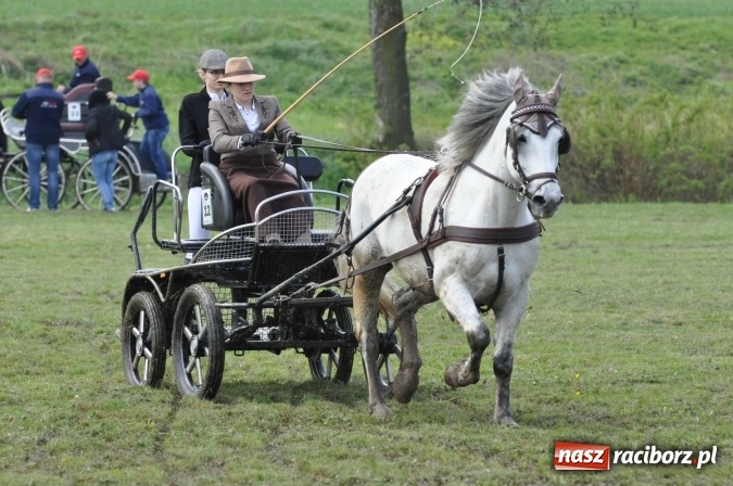 Zdjęcie w galerii na portalu naszraciborz.pl: W Kornicach trwają zawody zaprzęgowe połączone z majówką konną wiadomości z regionu