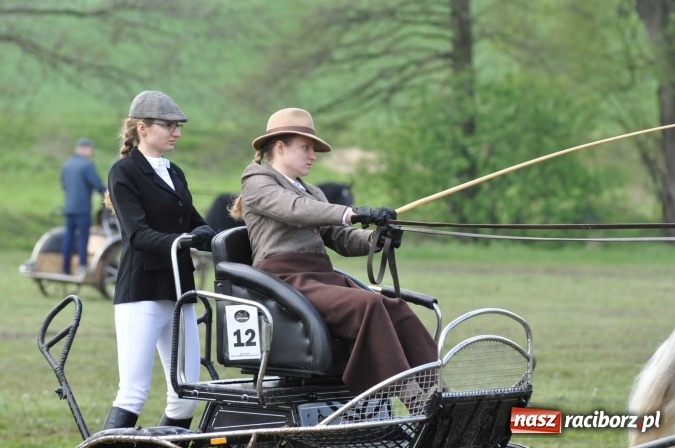 Zdjęcie w galerii na portalu naszraciborz.pl: W Kornicach trwają zawody zaprzęgowe połączone z majówką konną wiadomości z regionu