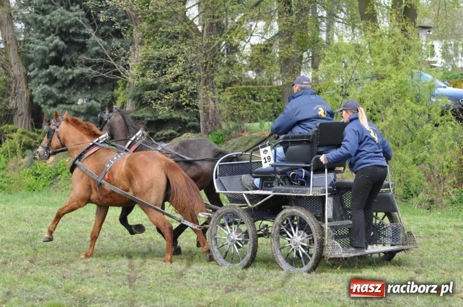 Zdjęcie w galerii na portalu naszraciborz.pl: W Kornicach trwają zawody zaprzęgowe połączone z majówką konną wiadomości z regionu