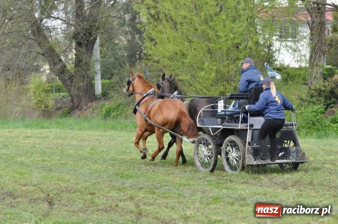 Zdjęcie w galerii na portalu naszraciborz.pl: W Kornicach trwają zawody zaprzęgowe połączone z majówką konną wiadomości z regionu