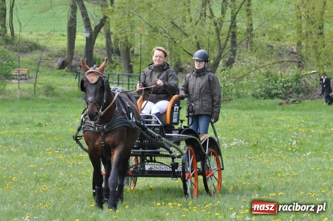 Zdjęcie w galerii na portalu naszraciborz.pl: W Kornicach trwają zawody zaprzęgowe połączone z majówką konną wiadomości z regionu