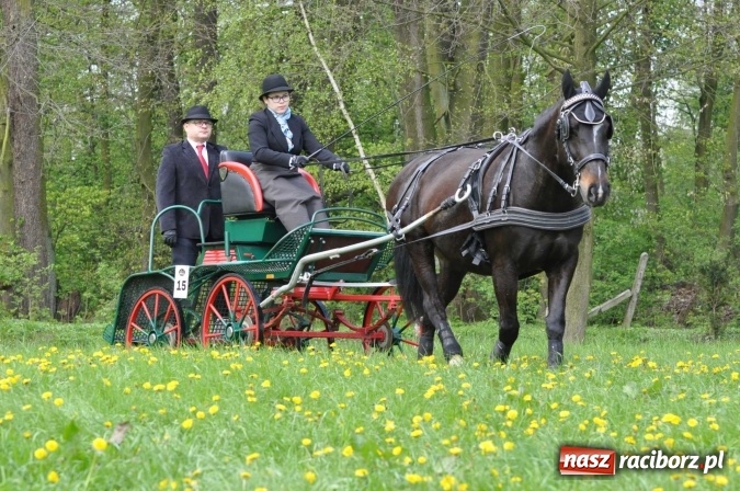 Zdjęcie w galerii na portalu naszraciborz.pl: W Kornicach trwają zawody zaprzęgowe połączone z majówką konną wiadomości z regionu