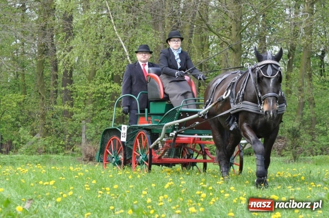 Zdjęcie w galerii na portalu naszraciborz.pl: W Kornicach trwają zawody zaprzęgowe połączone z majówką konną wiadomości z regionu