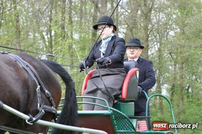 Zdjęcie w galerii na portalu naszraciborz.pl: W Kornicach trwają zawody zaprzęgowe połączone z majówką konną wiadomości z regionu