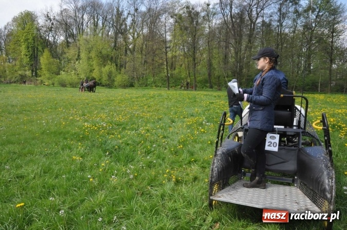 Zdjęcie w galerii na portalu naszraciborz.pl: W Kornicach trwają zawody zaprzęgowe połączone z majówką konną wiadomości z regionu
