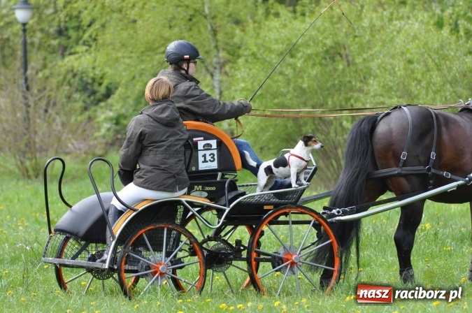 Zdjęcie w galerii na portalu naszraciborz.pl: W Kornicach trwają zawody zaprzęgowe połączone z majówką konną wiadomości z regionu