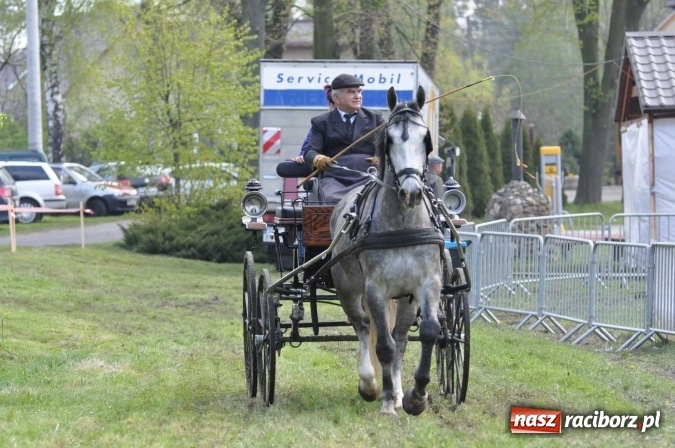 Zdjęcie w galerii na portalu naszraciborz.pl: W Kornicach trwają zawody zaprzęgowe połączone z majówką konną wiadomości z regionu