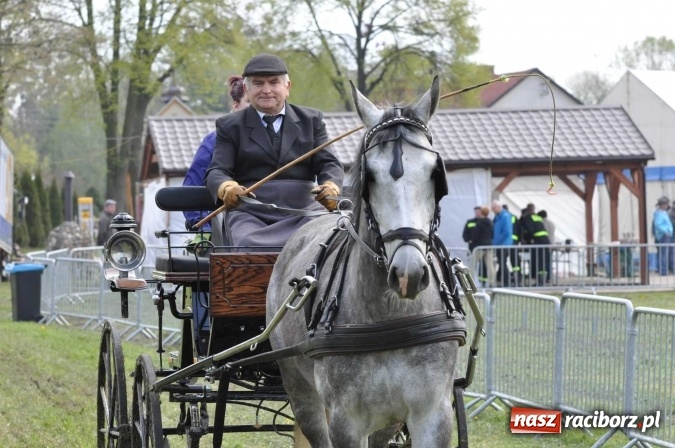 Zdjęcie w galerii na portalu naszraciborz.pl: W Kornicach trwają zawody zaprzęgowe połączone z majówką konną wiadomości z regionu