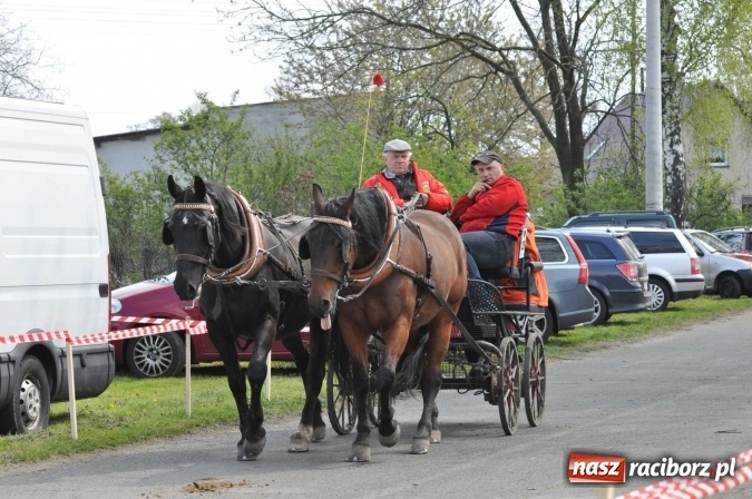 Zdjęcie w galerii na portalu naszraciborz.pl: W Kornicach trwają zawody zaprzęgowe połączone z majówką konną wiadomości z regionu