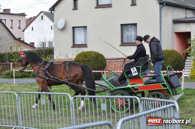 Zdjęcie w galerii na portalu naszraciborz.pl: W Kornicach trwają zawody zaprzęgowe połączone z majówką konną wiadomości z regionu