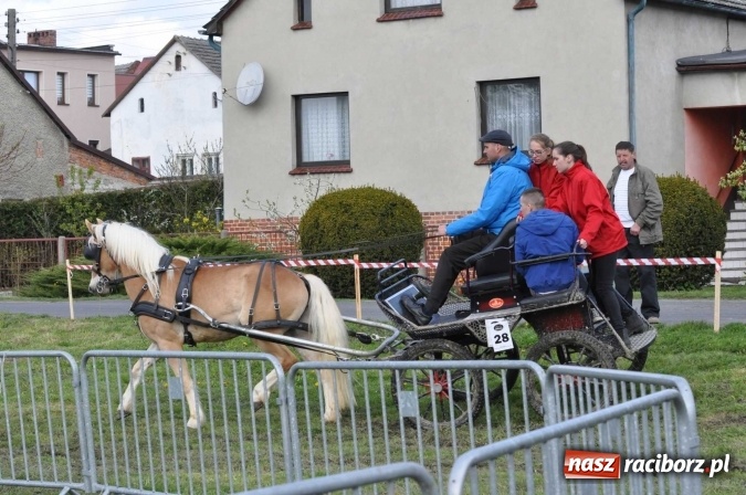 Zdjęcie w galerii na portalu naszraciborz.pl: W Kornicach trwają zawody zaprzęgowe połączone z majówką konną wiadomości z regionu