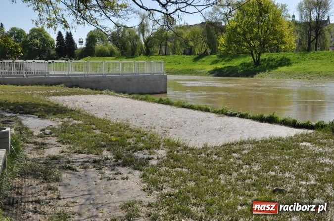 Zdjęcie w galerii na portalu naszraciborz.pl: Bulwary czeka teraz wielkie sprzątanie - przystań i plaża po wezbraniu Odry wiadomości z regionu
