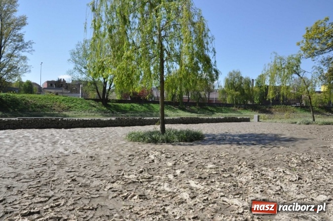 Zdjęcie w galerii na portalu naszraciborz.pl: Bulwary czeka teraz wielkie sprzątanie - przystań i plaża po wezbraniu Odry wiadomości z regionu