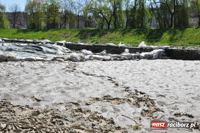Zdjęcie w galerii na portalu naszraciborz.pl: Bulwary czeka teraz wielkie sprzątanie - przystań i plaża po wezbraniu Odry wiadomości z regionu