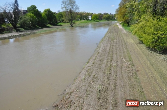 Zdjęcie w galerii na portalu naszraciborz.pl: Bulwary czeka teraz wielkie sprzątanie - przystań i plaża po wezbraniu Odry wiadomości z regionu