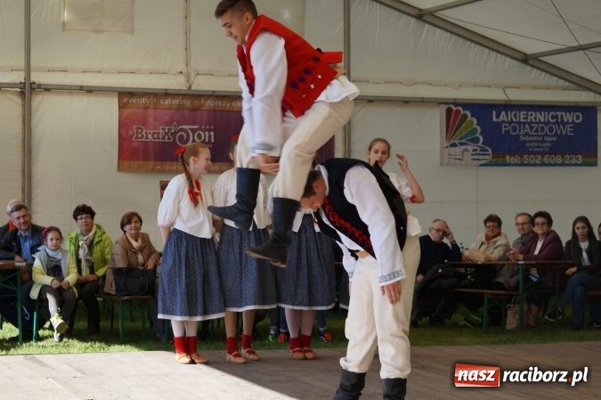Zdjęcie w galerii na portalu naszraciborz.pl: Wystartowała wielka majówka w Nędzy  wiadomości z regionu
