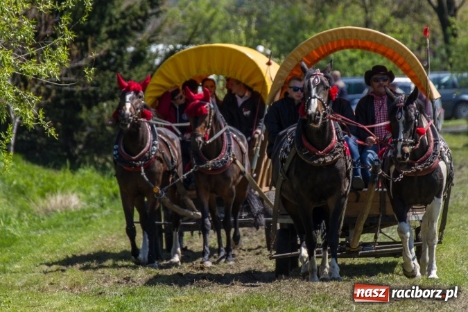 Zdjęcie w galerii na portalu naszraciborz.pl: Przez pola i łąki - korowód na Konnej Majówce w Kornicach wiadomości z regionu