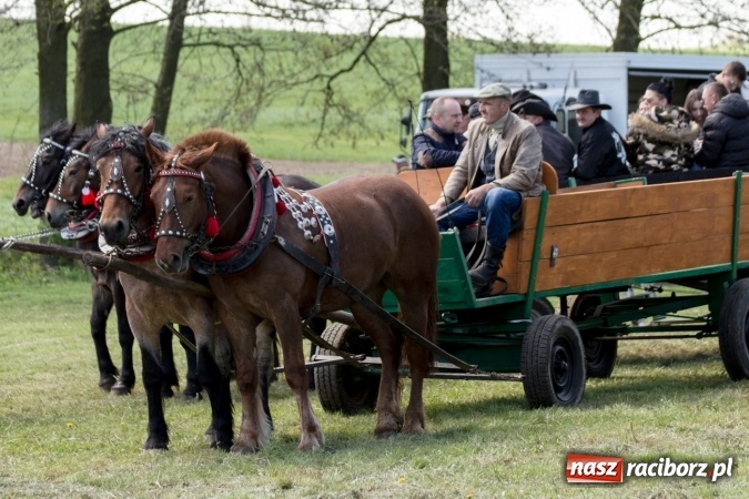 Zdjęcie w galerii na portalu naszraciborz.pl: Przez pola i łąki - korowód na Konnej Majówce w Kornicach wiadomości z regionu