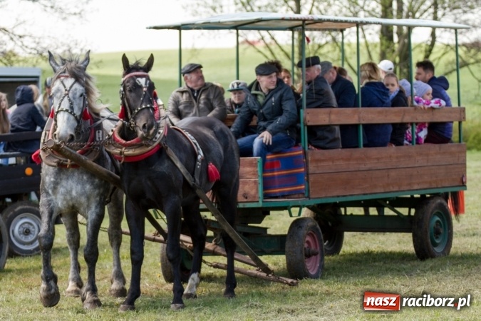 Zdjęcie w galerii na portalu naszraciborz.pl: Przez pola i łąki - korowód na Konnej Majówce w Kornicach wiadomości z regionu