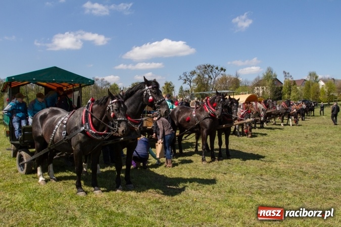 Zdjęcie w galerii na portalu naszraciborz.pl: Przez pola i łąki - korowód na Konnej Majówce w Kornicach wiadomości z regionu