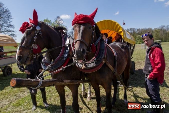 Zdjęcie w galerii na portalu naszraciborz.pl: Przez pola i łąki - korowód na Konnej Majówce w Kornicach wiadomości z regionu