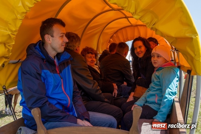 Zdjęcie w galerii na portalu naszraciborz.pl: Przez pola i łąki - korowód na Konnej Majówce w Kornicach wiadomości z regionu