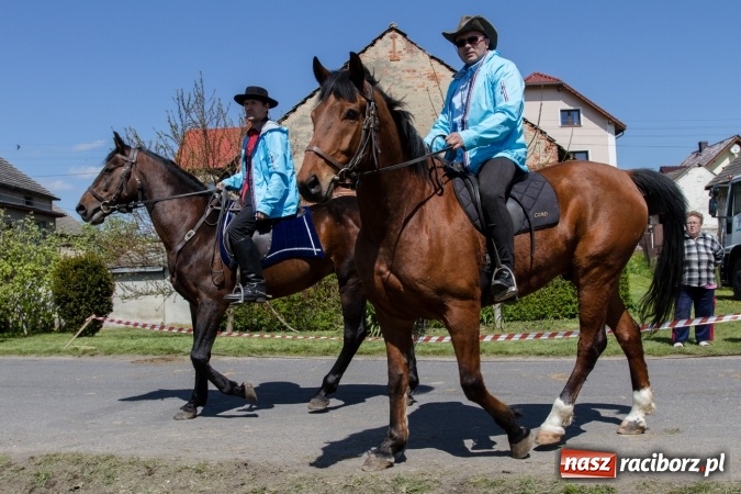 Zdjęcie w galerii na portalu naszraciborz.pl: Przez pola i łąki - korowód na Konnej Majówce w Kornicach wiadomości z regionu