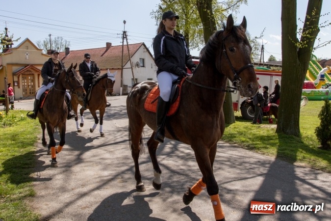 Zdjęcie w galerii na portalu naszraciborz.pl: Przez pola i łąki - korowód na Konnej Majówce w Kornicach wiadomości z regionu