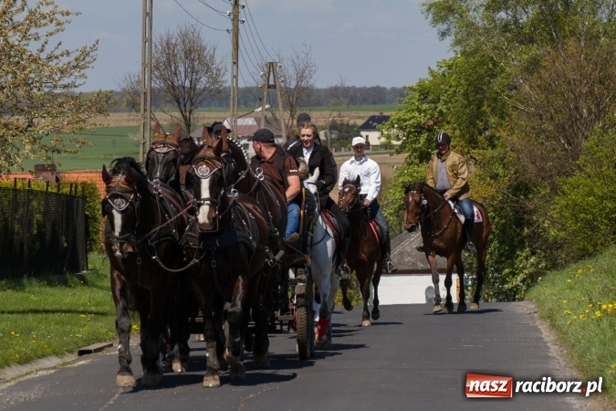 Zdjęcie w galerii na portalu naszraciborz.pl: Przez pola i łąki - korowód na Konnej Majówce w Kornicach wiadomości z regionu