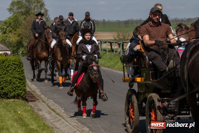 Zdjęcie w galerii na portalu naszraciborz.pl: Przez pola i łąki - korowód na Konnej Majówce w Kornicach wiadomości z regionu