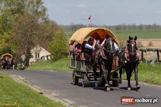 Zdjęcie w galerii na portalu naszraciborz.pl: Przez pola i łąki - korowód na Konnej Majówce w Kornicach wiadomości z regionu