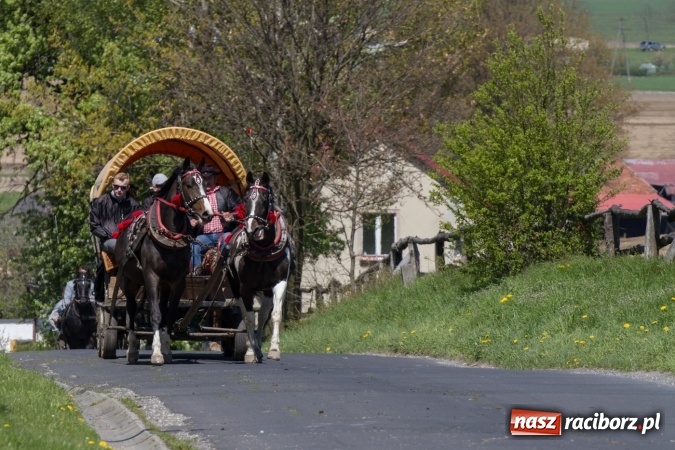 Zdjęcie w galerii na portalu naszraciborz.pl: Przez pola i łąki - korowód na Konnej Majówce w Kornicach wiadomości z regionu