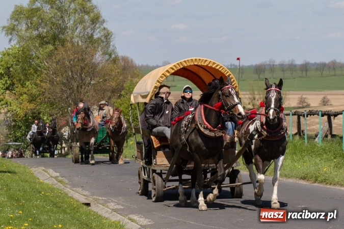 Zdjęcie w galerii na portalu naszraciborz.pl: Przez pola i łąki - korowód na Konnej Majówce w Kornicach wiadomości z regionu