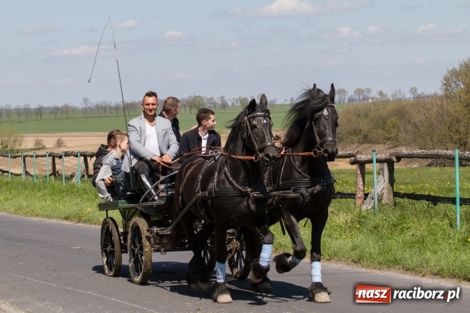 Zdjęcie w galerii na portalu naszraciborz.pl: Przez pola i łąki - korowód na Konnej Majówce w Kornicach wiadomości z regionu