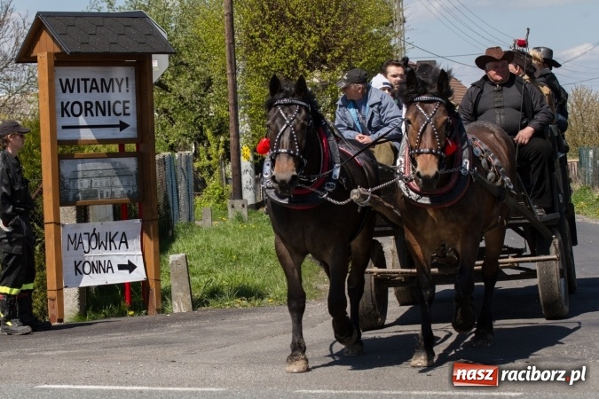 Zdjęcie w galerii na portalu naszraciborz.pl: Przez pola i łąki - korowód na Konnej Majówce w Kornicach wiadomości z regionu