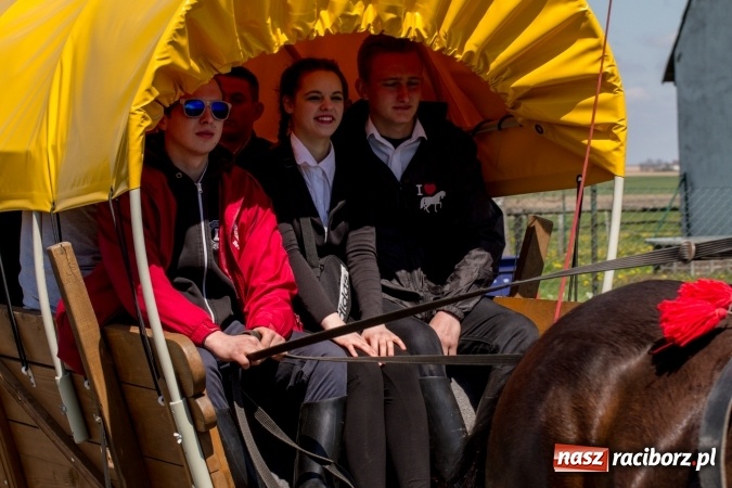 Zdjęcie w galerii na portalu naszraciborz.pl: Przez pola i łąki - korowód na Konnej Majówce w Kornicach wiadomości z regionu