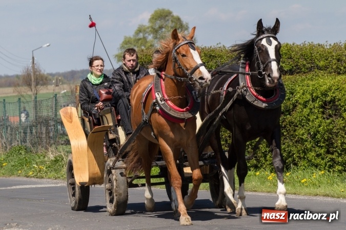 Zdjęcie w galerii na portalu naszraciborz.pl: Przez pola i łąki - korowód na Konnej Majówce w Kornicach wiadomości z regionu
