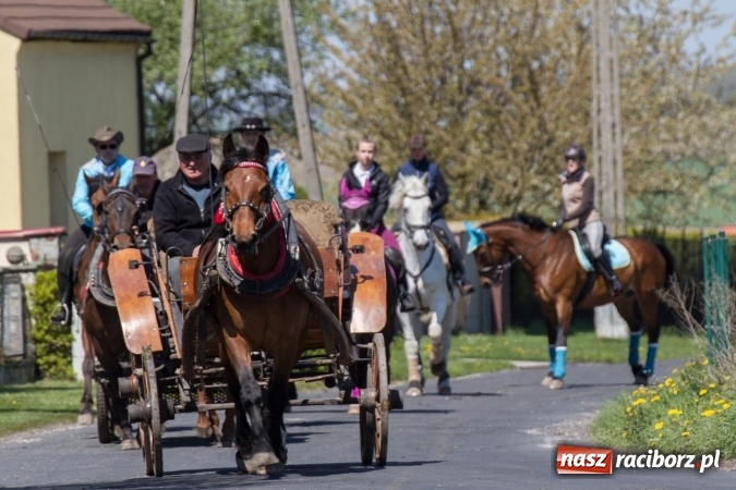 Zdjęcie w galerii na portalu naszraciborz.pl: Przez pola i łąki - korowód na Konnej Majówce w Kornicach wiadomości z regionu