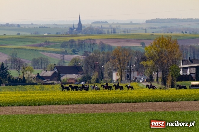Zdjęcie w galerii na portalu naszraciborz.pl: Przez pola i łąki - korowód na Konnej Majówce w Kornicach wiadomości z regionu