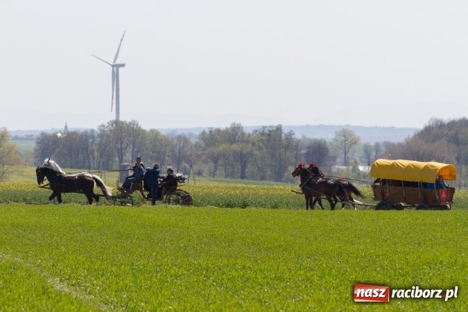 Zdjęcie w galerii na portalu naszraciborz.pl: Przez pola i łąki - korowód na Konnej Majówce w Kornicach wiadomości z regionu