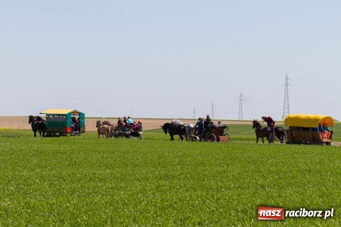 Zdjęcie w galerii na portalu naszraciborz.pl: Przez pola i łąki - korowód na Konnej Majówce w Kornicach wiadomości z regionu