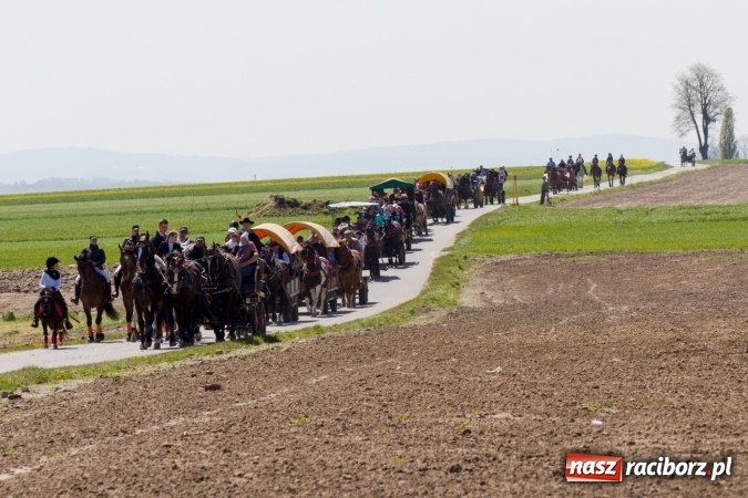 Zdjęcie w galerii na portalu naszraciborz.pl: Przez pola i łąki - korowód na Konnej Majówce w Kornicach wiadomości z regionu