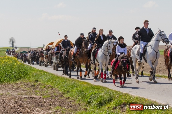 Zdjęcie w galerii na portalu naszraciborz.pl: Przez pola i łąki - korowód na Konnej Majówce w Kornicach wiadomości z regionu